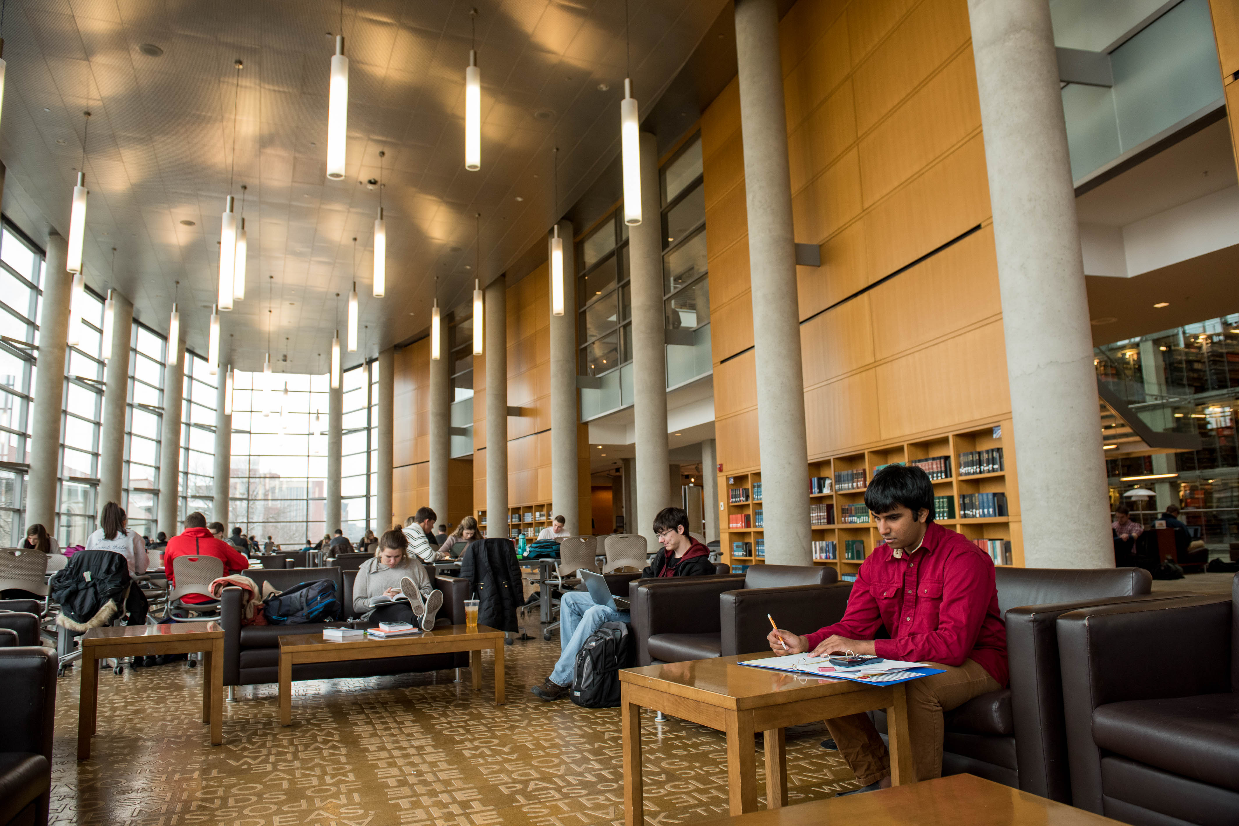 Students studying in a library