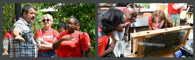 Two photos showing wooster staff working with srop students in the arboretum and the bee lab