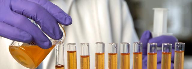 Gloved hand pouring liquid from a beaker into a test tube